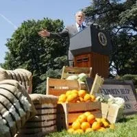 ağaç, açık hava, taze içeren bir resim

Açıklama otomatik olarak oluşturuldu